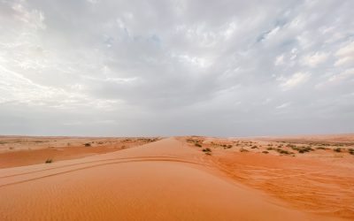 Gulf States [7093]